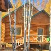 Уменьшенная картинка