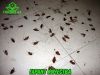 Уменьшенная картинка