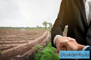Услуги земельного юриста. Решение земельных споров