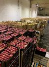 Уменьшенная картинка