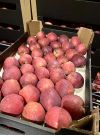 Уменьшенная картинка
