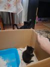 Уменьшенная картинка