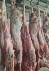 Уменьшенная картинка