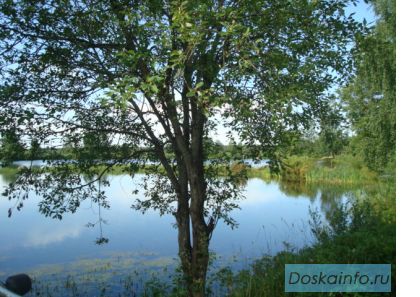 Участок. Ленинградская обл.Всеволожский р-н. Верхние Осельки.
