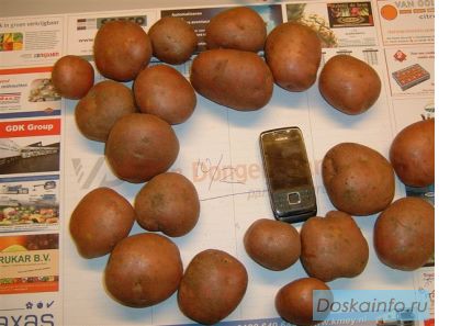 Фрукты и овощи