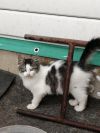 Уменьшенная картинка