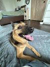 Уменьшенная картинка