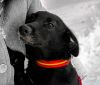 Уменьшенная картинка