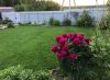 Уменьшенная картинка