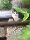 Уменьшенная картинка