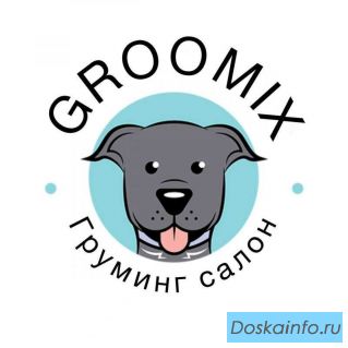 Groomix груминг в Казани