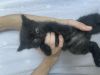 Уменьшенная картинка