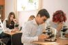 Уменьшенная картинка
