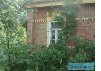 Дом в глухой деревне Рязанской области