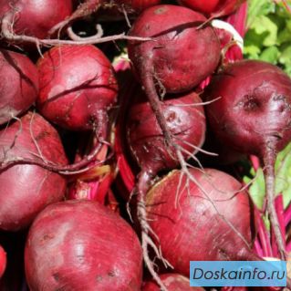 Продажа позднеспелого алтайского картофеля, моркови и свеклы на долгое хранение