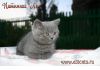 Уменьшенная картинка