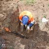 Уменьшенная картинка