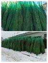 Уменьшенная картинка