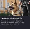 Уменьшенная картинка