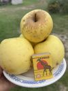 Уменьшенная картинка