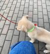 Уменьшенная картинка