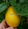 Уменьшенная картинка