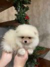 Уменьшенная картинка