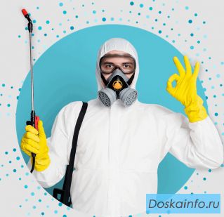 Дезинсекция и дератизация в Реутове