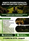 Расчистка/уборка участка. Спил деревьев.