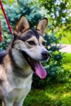 Уменьшенная картинка