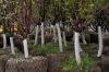 Уменьшенная картинка