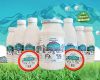 Кисломолочные продукты от производителя- Мацони, Айран, Тан, Катык, Сюзьма, Довга