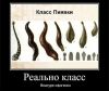 Уменьшенная картинка