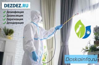 Профессиональная дезинсекция, дератизация и дезинфекция в Москве