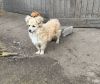 Уменьшенная картинка