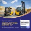 Уменьшенная картинка