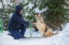Уменьшенная картинка