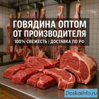 Оптовая продажа мяса говядины