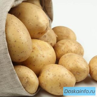 Овощи столового назначения и на переработку от оптового поставщика