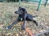 Уменьшенная картинка