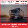 Грузоперевозка фруктов и овощей по России - тарифы и цены транспортной компании «Невский Переезд»