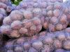 Уменьшенная картинка