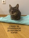 Уменьшенная картинка