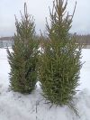 Уменьшенная картинка