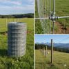 Уменьшенная картинка