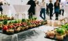 Piter Eat: Услуги кейтеринга, превращающие любое событие в праздник в Санкт-Петербурге
