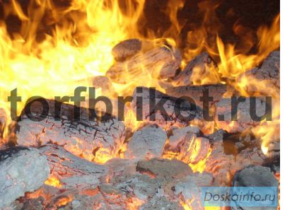 Торфяной брикет