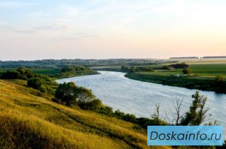 Земля под застройку поселка в лесу у реки Дон