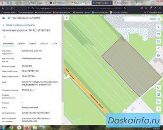 Продам участок 9,9 га у Московского шоссе в Шушарах — под бизнес и инвестиции