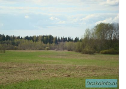 Зем. уч. 21 Га сельхоз назнач,87км от Мкад,Ярослав направ,д.Плеханы